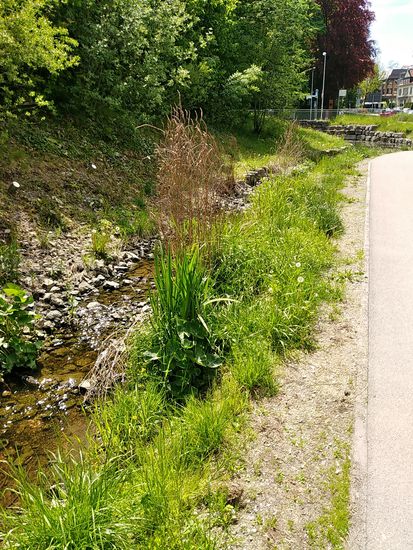 Zwischenzeitlich direkt im Stadtgebiet von Schwenningen angekommen, begegnet einem der Neckar als kleines Rinnsal.