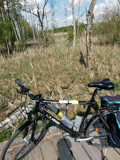 Dieses Naturschutzgebiet kann und darf man auf Holzbohlenwegen betreten.