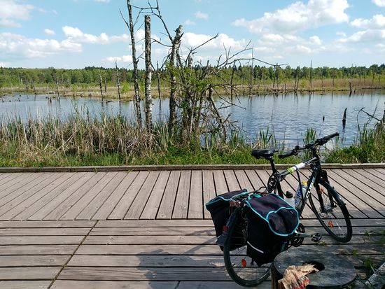 Es wird auch als Neckarursprung bezeichnet, aber lt. der Bronzetafel an der Neckarquelle soll dies ja mal willkürlich geschehen sein.