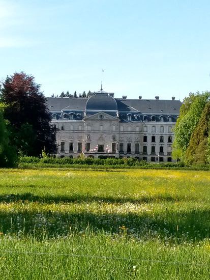 Auf dem Weg von der Donauquelle zum Donau-Zusammenfluss durchfährt man geduldeterweise den privaten "Fürstlich Fürstenbergischen Park"
