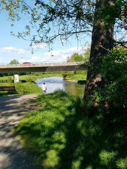 Die Donau kurz nach dem Zusammenfluß von Brigach und Breg.