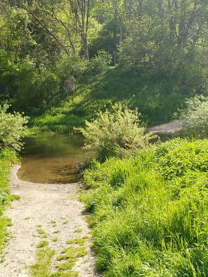 Auch an dieser Versinkungsstelle gegenwärtig eine zu hohe Wasserführung um (rel. trockenen) Fußes die gegenüberliegende Wegweiterführung (Mitte rechts) erreichen zu können.