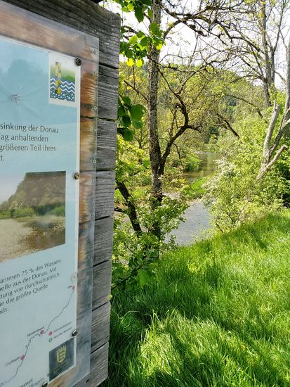 Und eine dritte Donauversinkung hinter Fridingen - und wieder, wie von den vorigen Versinkungen zu erwarten, zu viel Wasser.