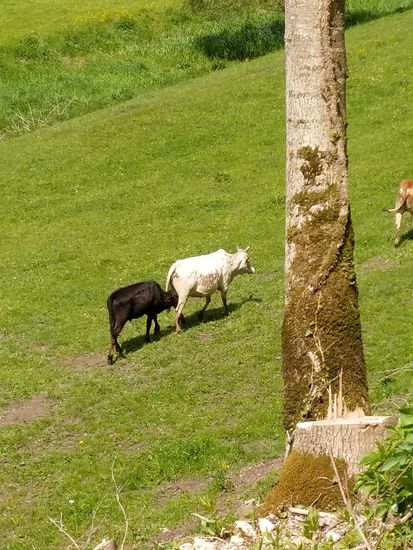 An Muttis Trinkbar, auch während des Marsches.