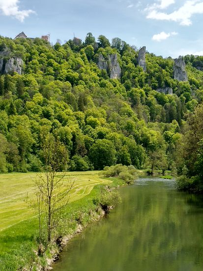 Blick von der Brücke flußaufwärts mit Burg Wildenstein links oben.