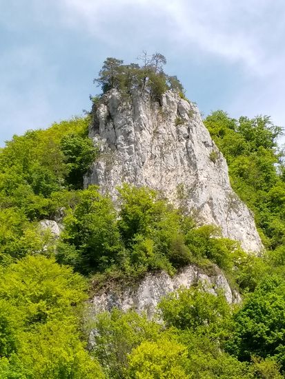 Burgruine Unterfalkenstein, leider so gut wie nicht erkennbar.