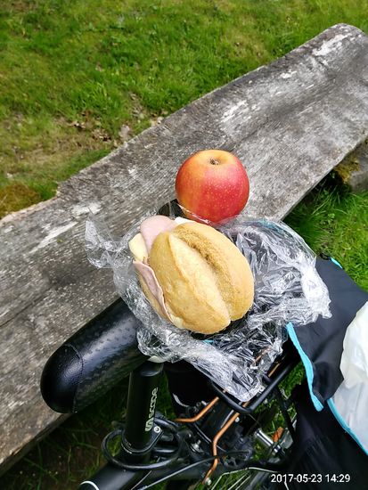 Mein Standard-Mittagessen auf Radferntouren inform von Frühstücksmitbringseln. Zeitlich etwas verspätet gegen 14:29 Uhr, aber anscheinend hab ich vorher aufgrund dieser gänzlich faszinierenden Natureindrücken gar nicht daran gedacht...