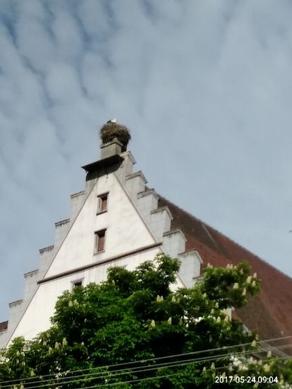 ...das mit einem Tier besetzt ist.