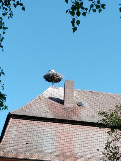 Riedlingen, Teilgemeinde Zell