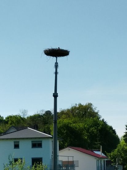 Ebenfalls in Zell eine Nestversion auf einem Masten.