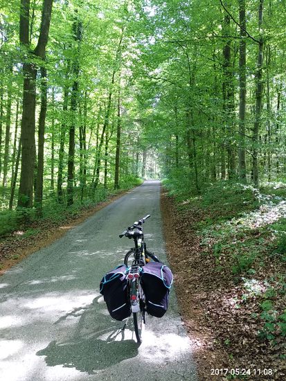 Ich denk ich bin im Walde. Hier ein kleiner Entspannungshalt mit Singeinlagen der zahlreichen Vogelwelt, bei sonstiger Ruhe von äußeren Einflüssen. War unbeschreiblich schön !