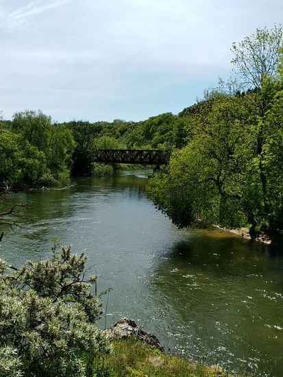 Donau östlich von Rechtenstein.