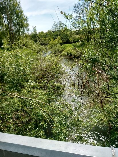 Die leider etwas verdeckte Große Lauter kurz vor der Mündung in die Donau in der oberen Bildhälfte.