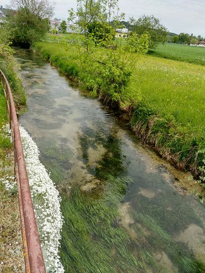 Bei diesem Gewässer handelt es sich um die 25 km lange Schmiech, die südlich von Ehingen in die Donau mündet. Mein Standpunkt hier liegt jedoch nördlich von Ehingen und da ich mich gegen die Flußrichtung bewege, habe ich also Kurs auf Blaubeuren zum Blautopf genommen.
