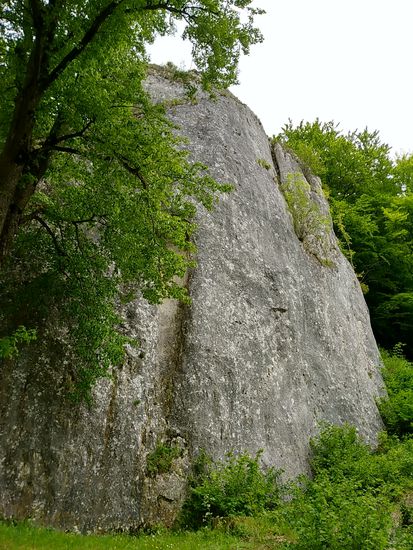 Der "Hohle Fels" kurz vor Schelklingen.