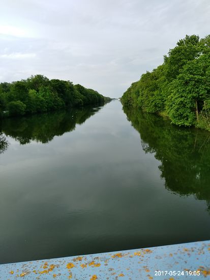 Schnurgerade zieht sich die Donau zwischen Auwäldern dahin.