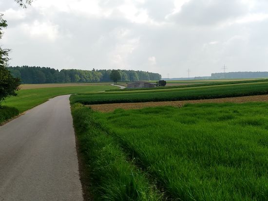 Hier noch eine letzte Impression vom Wegverlauf in Richtung Burgau "Quer-über-die-Prärie" und fern von den Hauptthemen Neckar und Donau.