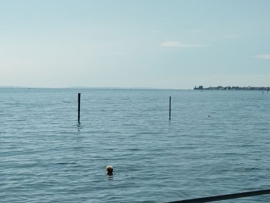 Blick auf den Bodensee