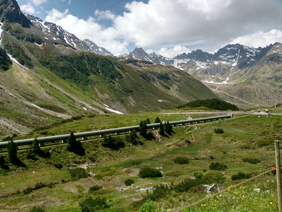 Übrigens ist hier die Baumgrenze bereits überschritten, man bekommt nur noch Latschen- und sonstigen Strauchbewuchs zu sehen.