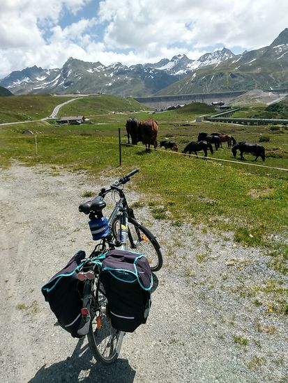 Eine Pferdekoppel, linkerhand eine nachher beschriebene Alpe, in Verlängerung der Koppel der erste Blick auf die Staumauer des Silvretta-Stausees und nach dem letzten Anstieg nach der Alpe die Bielerhöhe.