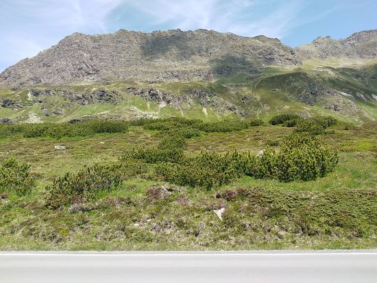 Linkerhand der Straße.