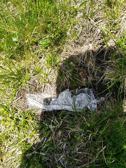 Auch diese Zivilisationshinterlassenschaften muß man auf dieser Höhe leider antreffen oder haben Aufwinde dieses Folienteil aus dem Tal nach oben steigen lassen?