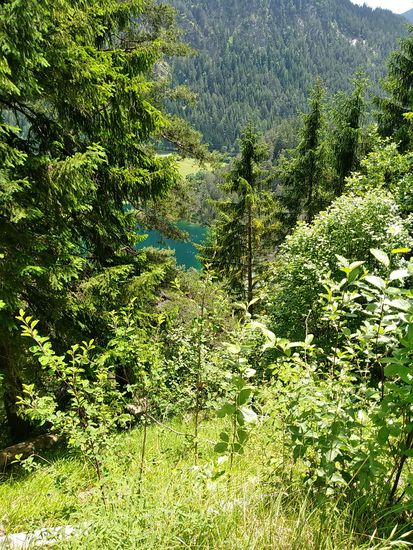 Ein Teil des Fernsteinsees in Bildmitte.