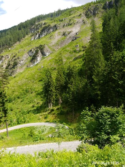 Im unteren Bildteil sieht man Teile des sich abwärts schlängelnden Schotter-Forstwegs.