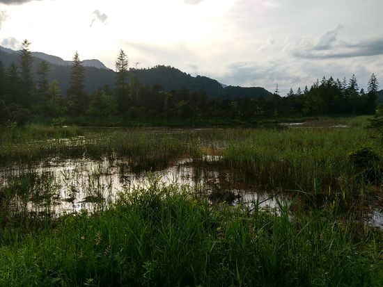 Biotoplandschaft im Loisachtal südlich von Eschenlohe.