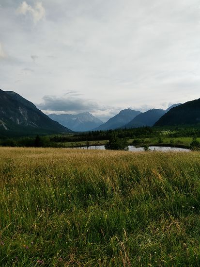 Ein heimischer Feierabendradler, der bis Oberau den gleichen Weg hatte, empfahl mir noch einen etwas erhöhten Aussichtspunkt, von dem man einen umfassenden Überblick über das Loisachtal hatte - hier zurück ins Wettersteingebirge.
Im folgenden noch vier unkommentierte Bilder von diesem Ausblick.