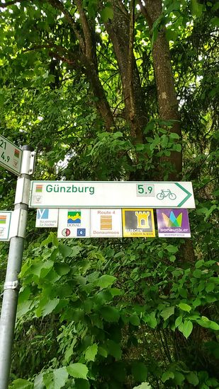 Gleich nach dem Ende der Donaubrücke weist mir das Radwegschild den Weg nach rechts weg von der Straße in den Donauradweg und führt u.a. durch den Nauwald, einem unter Naturschutz stehenden Donau-Auwaldbereich mit einer Fläche von 167,92 ha im Landkreis Günzburg.
Maßgeblich für meinen Routenverlauf ist dabei das grün-gelb-blaue Zeichen vom Radweg Deutsche Donau unter der Bezeichnung Günzburg.