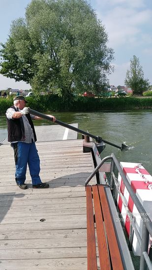 Mittels eines Ruders beeinflußt der Fährmann den Anstellwinkel der Fähre zur Strömung und somit die jeweilige Fahrtrichtung über das Fließgewässer. Keine Motorabgase, kein Akkuaufladen, immer ein unerschöpflicher, natürlicher Antrieb, der nur vom Krafteinsatz des Fährmanns abhängig ist. Einfach genial !