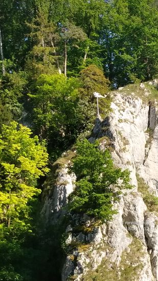 Die Kalkstein-Formationen des Durchbruchtals erreichen bis zu 80 m Höhe und sind benannt, wie hier etwa die "Versteinerte Jungfrau".