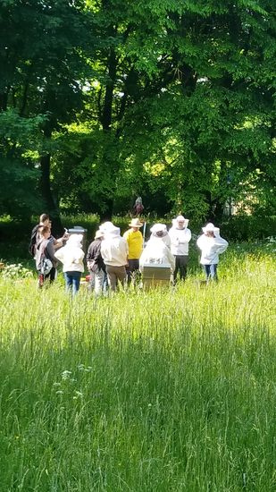 Auch ein Imkerkurs war in der Wiese neben meinem Weg tätig. Die emsig umherschwirrenden Bienchen können auf dem Foto mangels ausreichender Auflösung leider nicht erkannt werden.