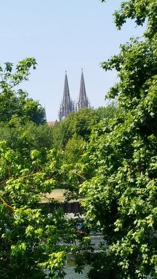 Aber auch das zentrale Regensburg als Städte-Highlight dieser Donautour neben Passau wird "Geschichte" und zwischen viel Grünanteil wird noch einmal ein kurzer Blick auf die Domspitzen frei.
