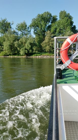 Kurz vor dem Thundorfer Fähranleger.