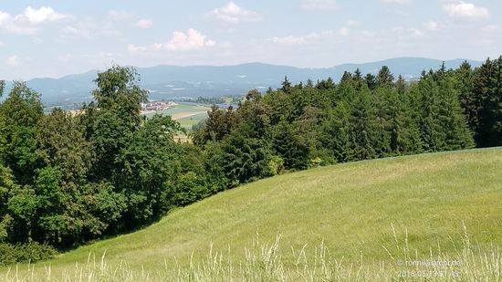 Von Hinterreckenberg aus kann man in nördliche Blickrichtung Höhenzüge des Bayerischen Waldes erkennen.