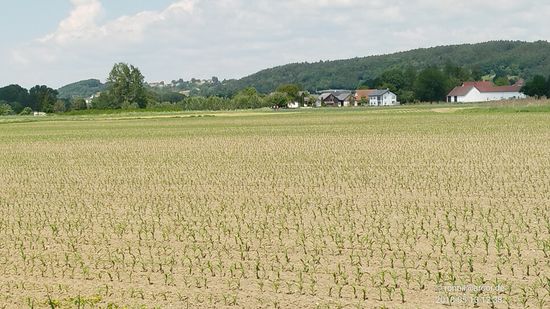 Nochmals ein kurzer Blick zurück in Richtung Hinterreckenberg, das in etwa Bildmitte hinter dem Waldrücken verborgen liegt.