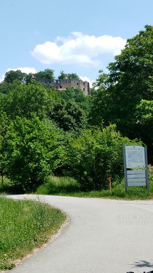 Burgruine Hilgartsberg