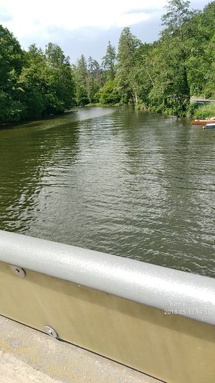 Kurz nach der Autobahnbrücke nähert sich von links die Gaißa, die nach dem Zusammenfluß von Großer und Kleiner Ohe (hat nichts mit der Ohe weiter oben am Anfang dieses Tages zu tun) noch eine Eigenlänge von 20 km aufweist und alsbald in die Donau mündet.