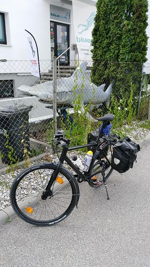 Am Aicherpark zwischen Kolbermoor und Rosenheim treffe ich dabei auf einen recht bissigen Hammerhai, der mir aber keinerlei Gefahr darstellte. Und auch beim traditionellen Füßeabkühlen an den folgenden Tagen im Lech hatte ich keinerlei Befürchtungen vor Schnappereien seiner lebenden Artgenossen auszustehen. 