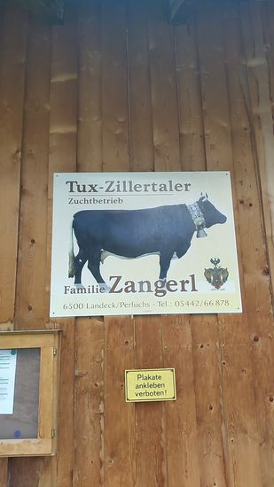 Die Familie Zangerl betreibt eine kleine Landwirtschaft mit Mutterkuhhaltung und eben Fremdenzimmern.