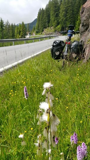 Die Perspektive läßt es flacher erscheinen, als real bestehend, aber nicht mehr allzuweit und es ging wieder in der sitzenden Kurbelposition weiter, nur noch von einer kurzen, sehr steilen Rampe, die nach einem parallel außerhalb eines Schutztunnel geführten Umwegs für Radler bestand, unterbrochen.