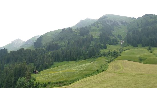 Blick in die Umgebung rechterhand der Schlucht.