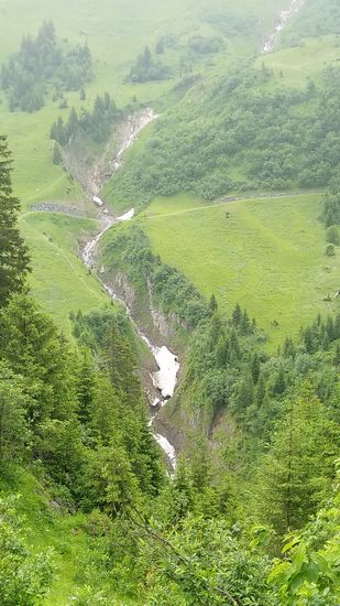 Und weit unter mir erscheinen im tiefen Bett eines dem Lech zufließenden Baches auch noch Reste von Schneeanteilen, die von der frühsommerlichen Sonne noch nicht aufgelöst wurden.