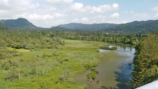 So ließ ich es mir nicht nehmen, die zahlreichen Stufen hoch zur Plattform zu steigen und die Umgebung rund herum abzulichten.
Von der Vielzahl der hier vorkommenden Brutvogelpaare konnte ich mit meinem "Kindergarten-Handy-Zoom" verständlicherweise keine aufschlussreichen Detailaufnahmen tätigen.
Dafür war dann nicht weit vom Turm ein Profi mit Stativ und Profi-Zoom-Objektiv an der Kamera tätig.