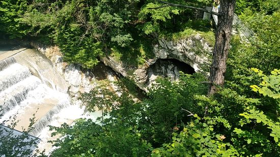 Gleich anschließend an den Lechfall verläuft der verbliebene Lech in einer kurzen, aber tief eingeschnittenen Klamm, die hier noch verdeckt ist.
Hinter dem oberen Bereich des Baumstammes im Bild sieht man einen Steg über die Klamm verlaufen. Von dort gibt es weiter unten noch ein übersichtlicheres Bild.