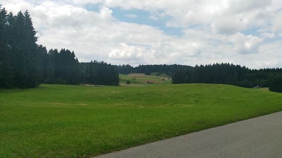 Landschaftsimpression südlich von Burggen.