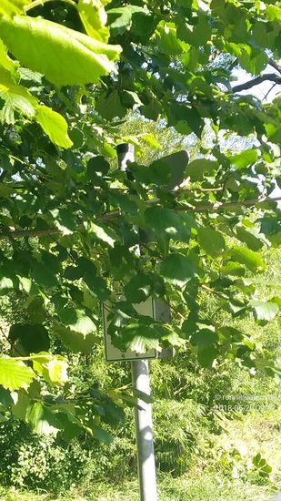 Dessen Radwegsymbol ist aber nur aus der Nähe ansatzweise zu erkennen.