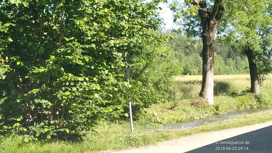 ... als auch aus der relativen Ferne das Radsymbol mit Richtungspfeil (bis zum nächsten Zuwachsen  ) wieder erkennbar.